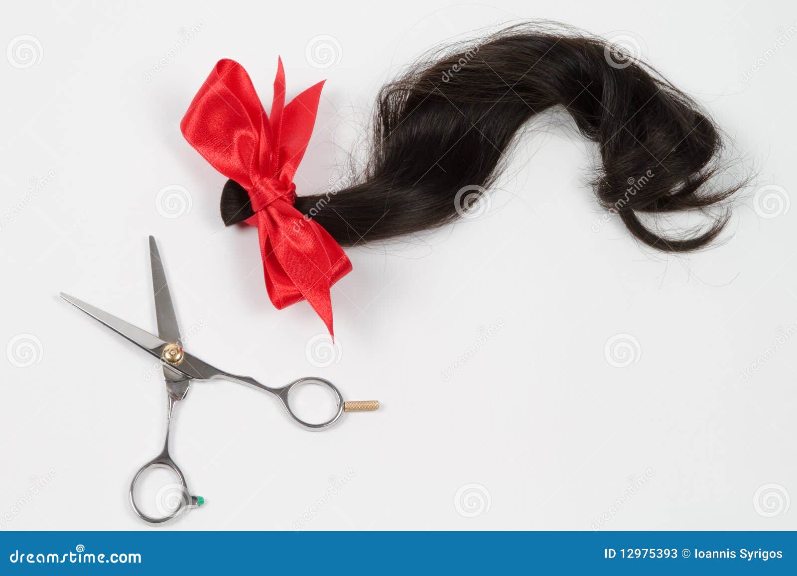 Brown Hair In Ponytail Cut With Scissors Stock Image 