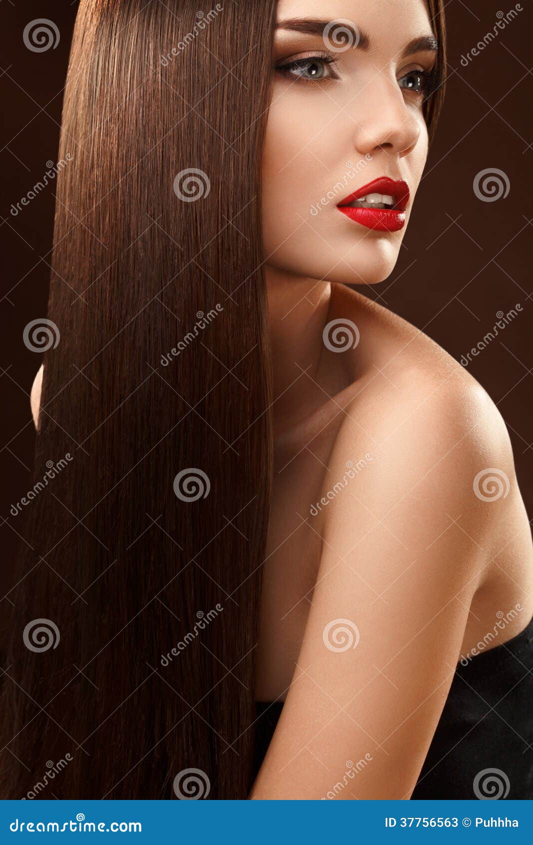 Brown Hair. Portrait of Beautiful Woman with Long Hair Stock Image ...