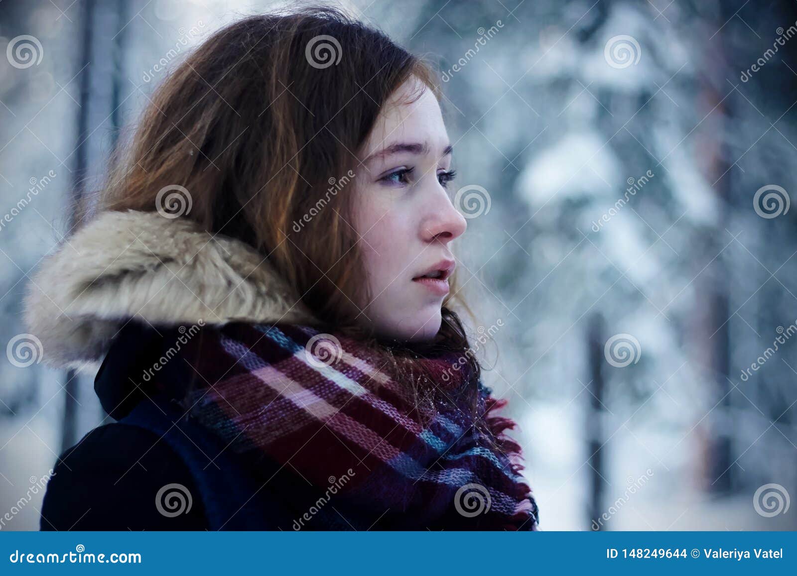 Brown-haired Girl in the Winter Forest Rosy from the Cold Stock Photo ...