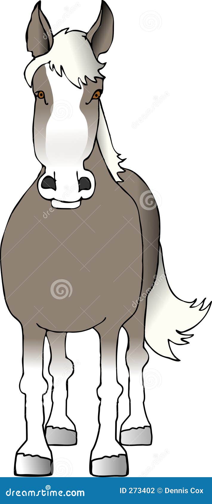 Brown horse, front view stock illustration. Illustration of farm - 273402