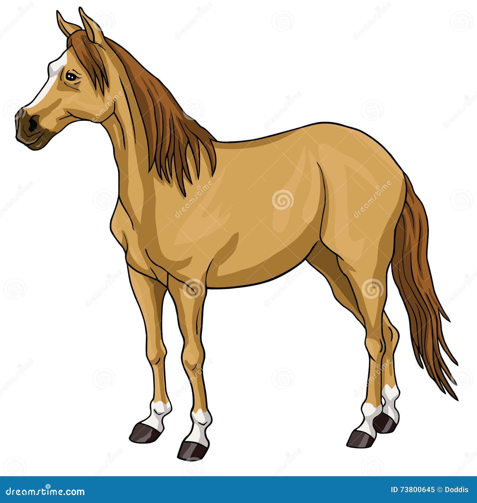 Brown Horse White Head stock vector. Illustration of grass 73800645