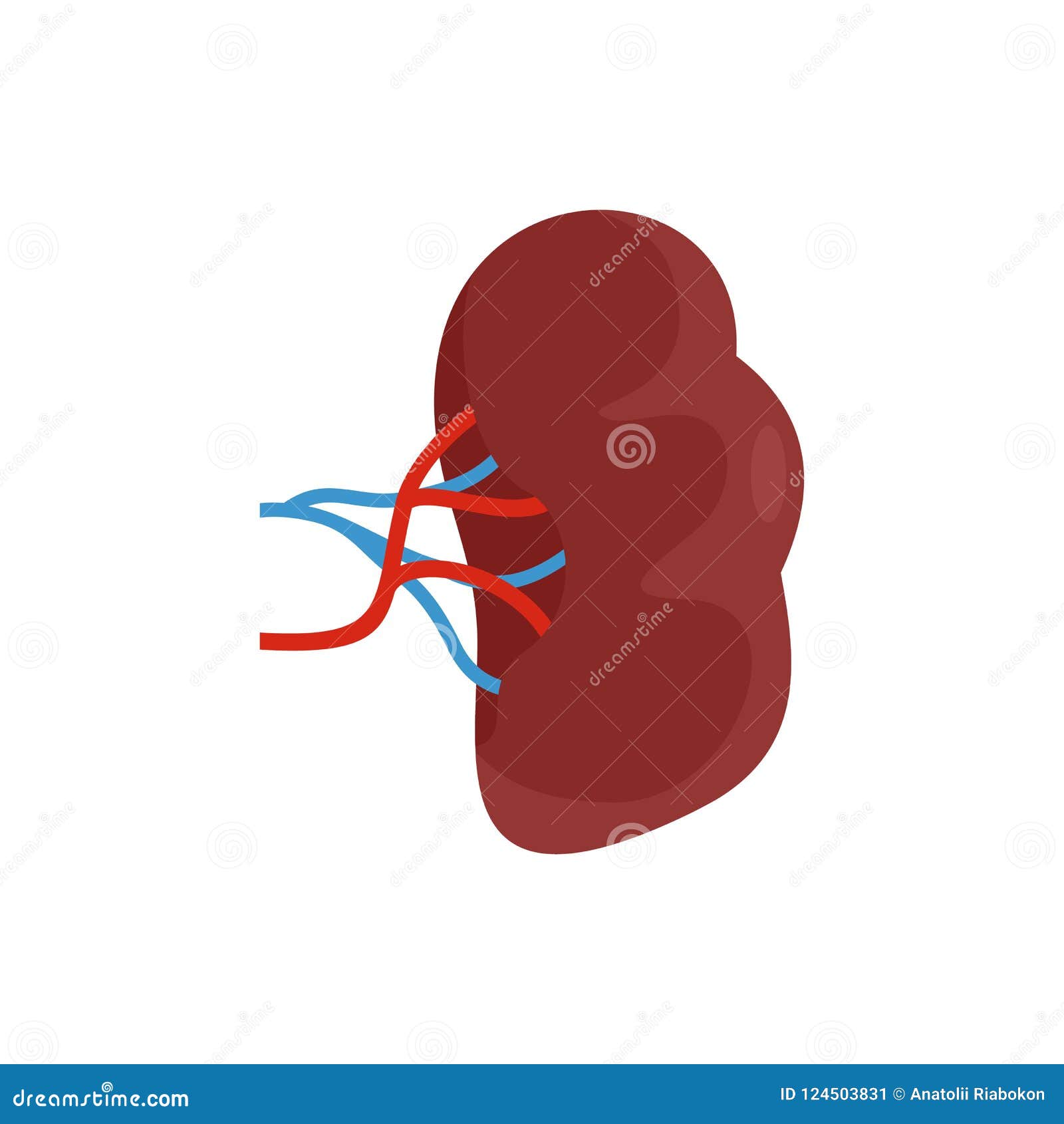 Brown Kidney Icon, Flat Style Stock Illustration - Illustration of ...