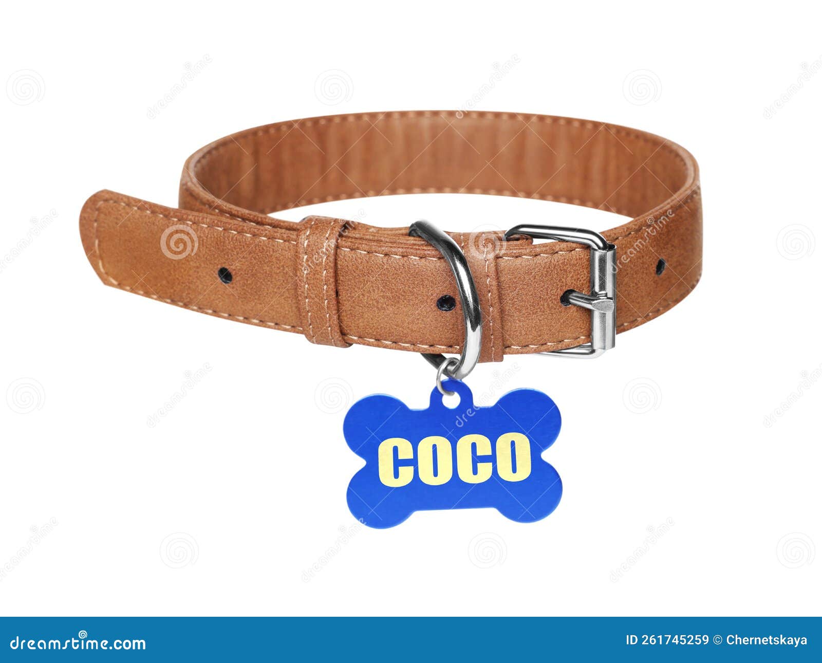 Brown Leather Dog Collar with Bone Shaped Tag Isolated on White Stock