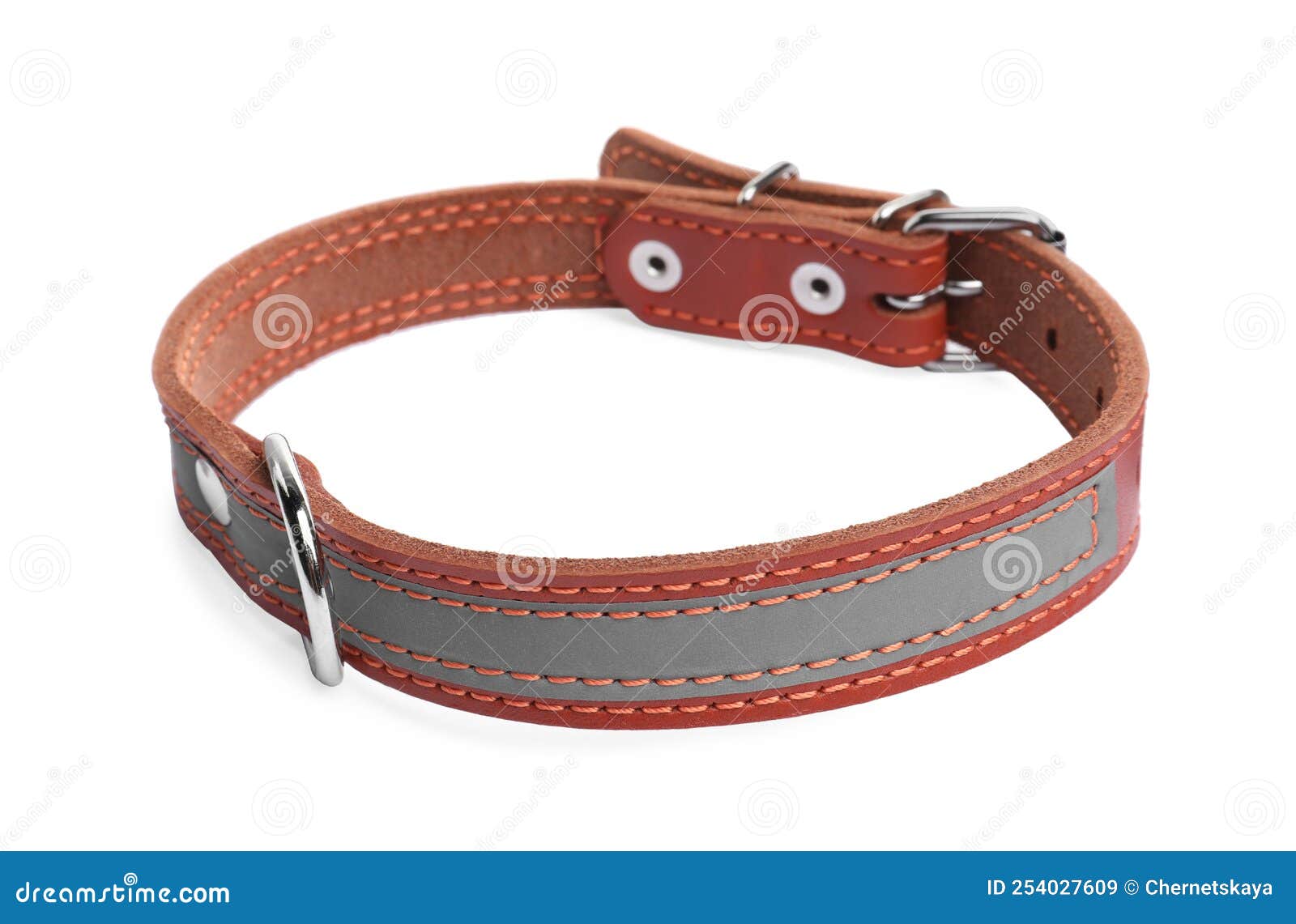 Brown Leather Dog Collar Isolated Stock Image Image of animal, simple