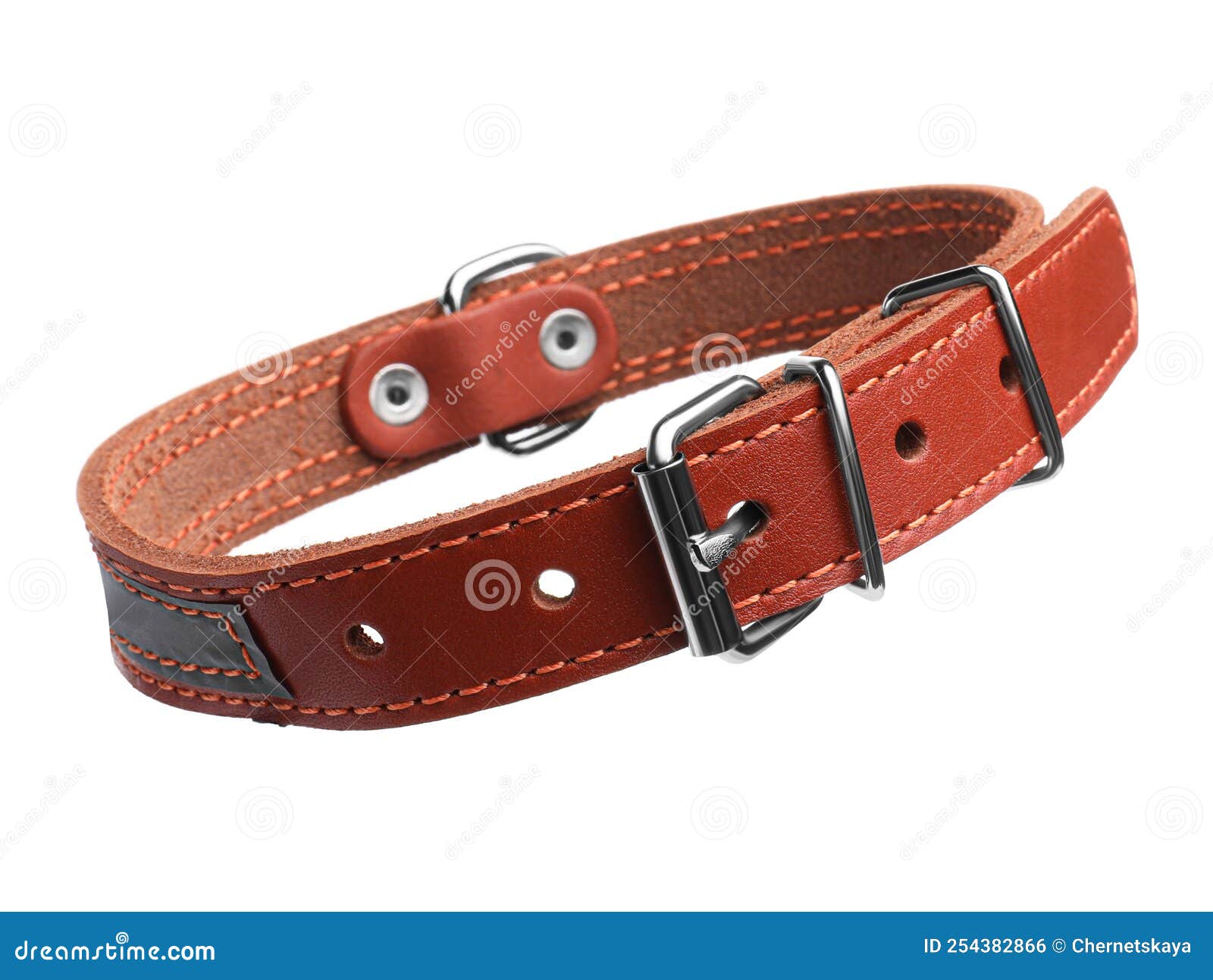 Brown Leather Dog Collar Isolated Stock Photo Image of fasten