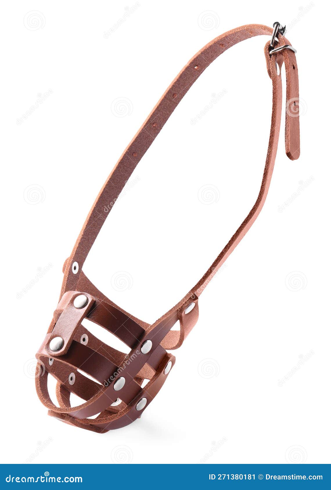 Brown Leather Dog Muzzle Isolated on White Stock Image Image of style