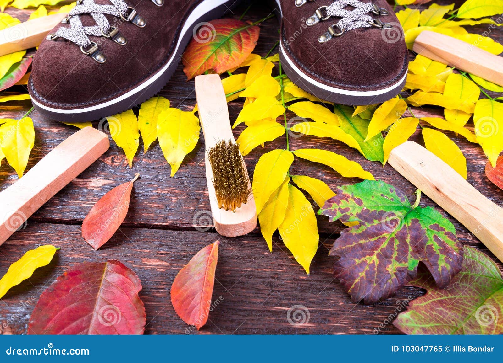 Brown Man Suede Boots on Wooden Background with Leaves. Suede Brushes ...