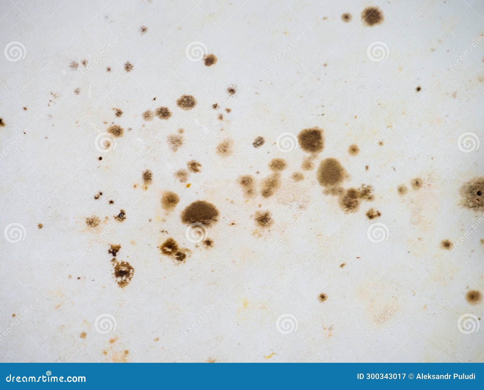 Brown Mold on White Bathroom Enamel. Bacteria House Concept Stock Image Image of retro, mold