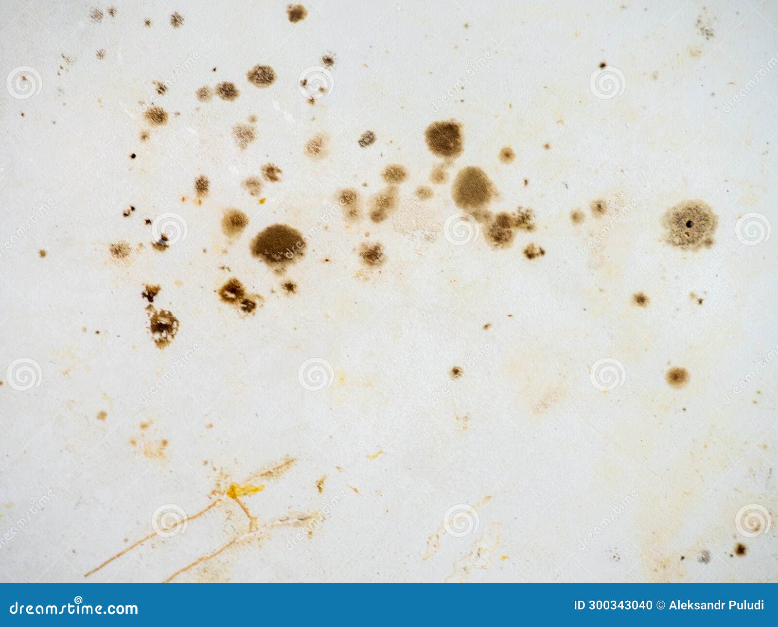 Brown Mold on White Bathroom Enamel. Bacteria House Concept Stock Photo