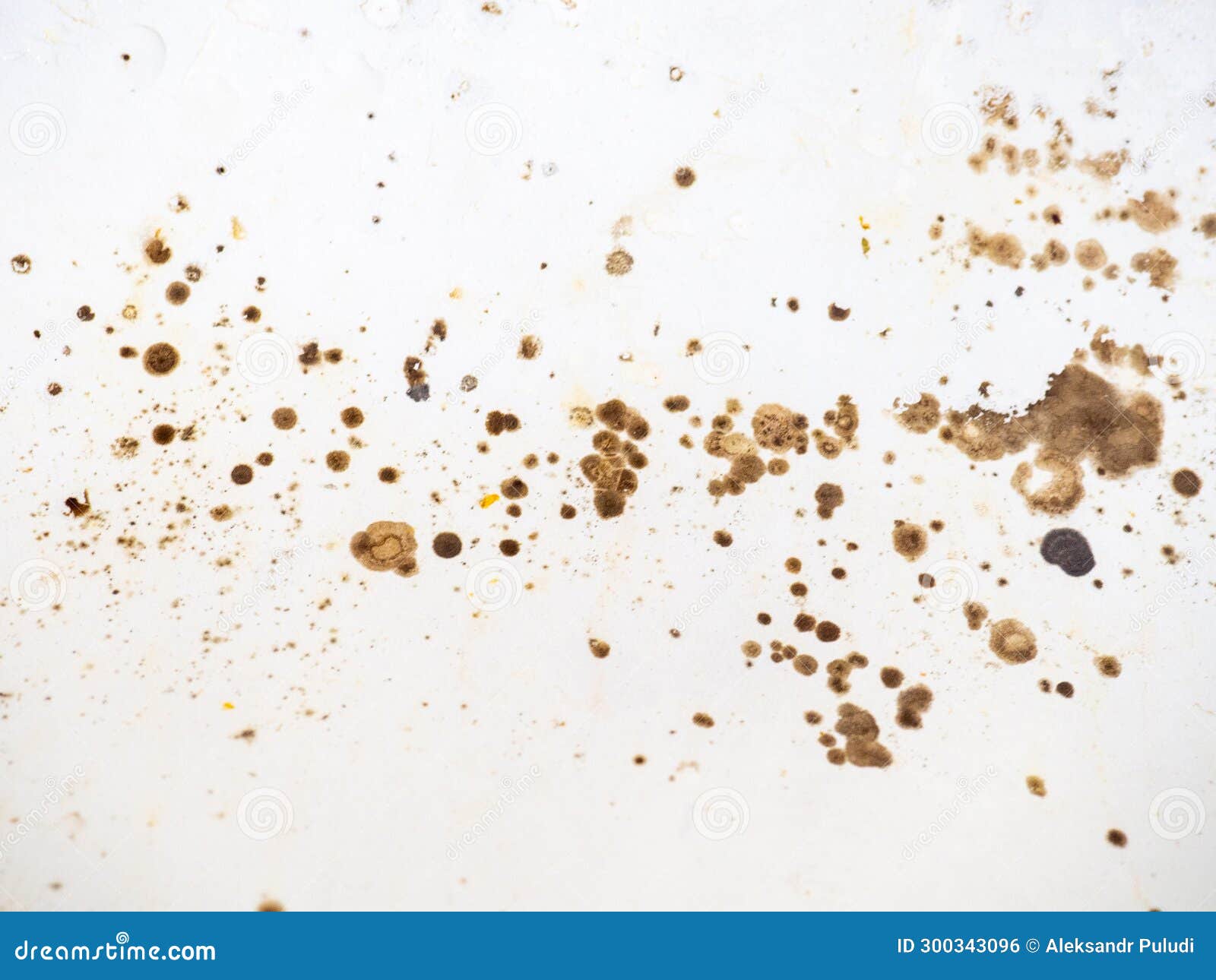 Brown Mold on White Bathroom Enamel. Bacteria House Concept Stock Photo Image of fungu, white