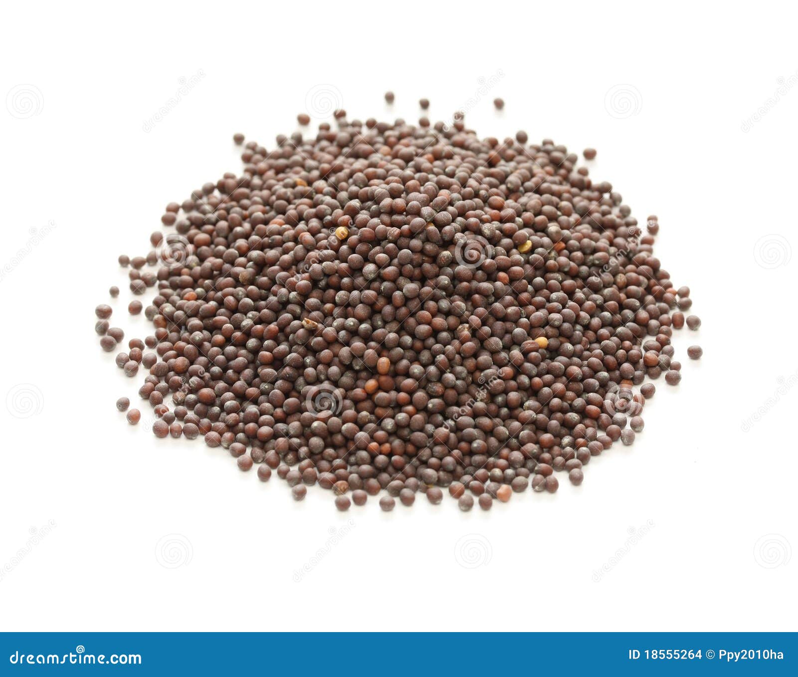 Brown Mustard Seeds, Indian Spice Stock Photo Image of exotic