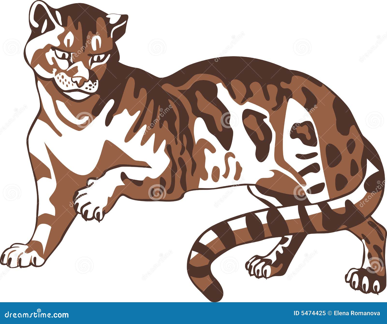logo vector 24/7 Brown of vector. Image cougar stock panther hunter,