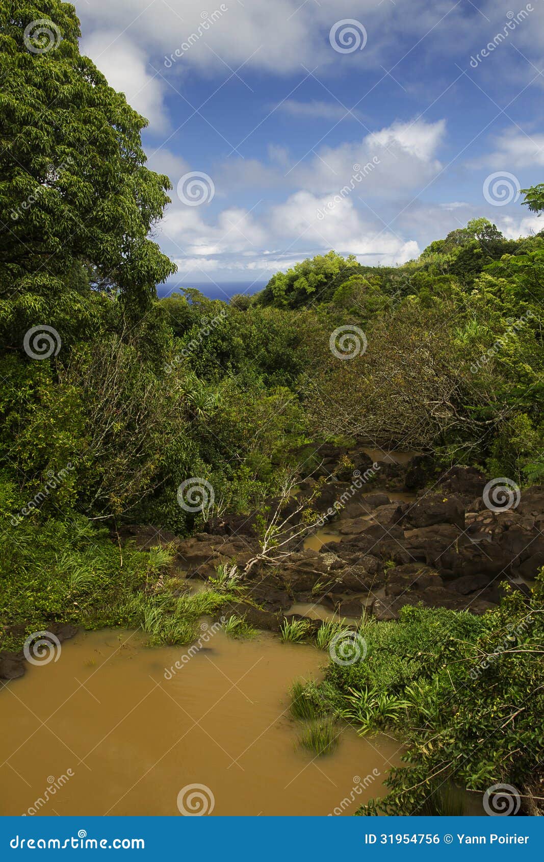Brown pond stock photo. Image of flowing, peaceful, element 31954756