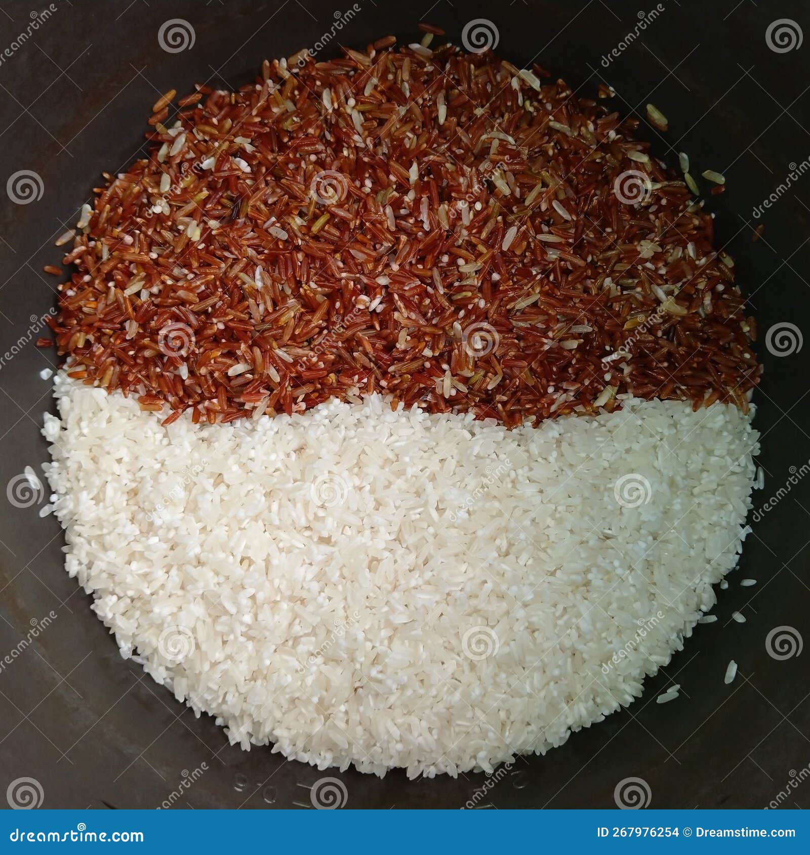 Brown Rice and White Rice stock photo. Image of agriculture 267976254
