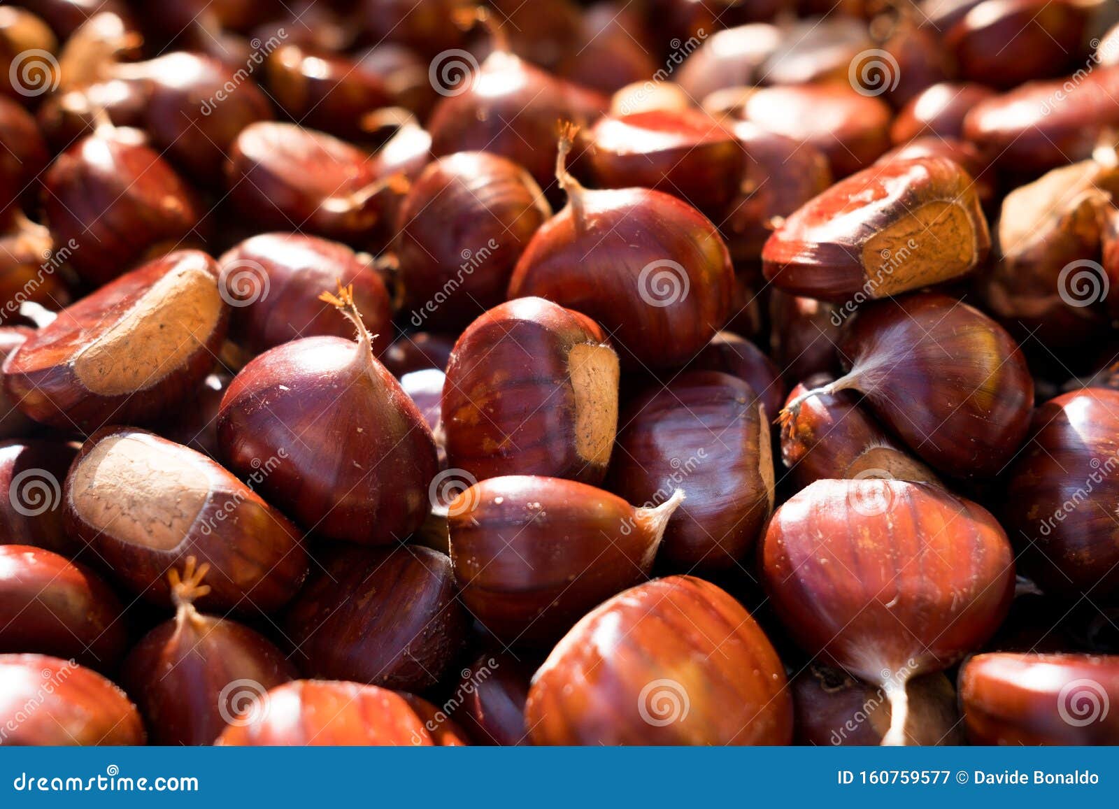 close up of brown ripe chestnuts in a basket during autumn harvest, with warm orange natural light