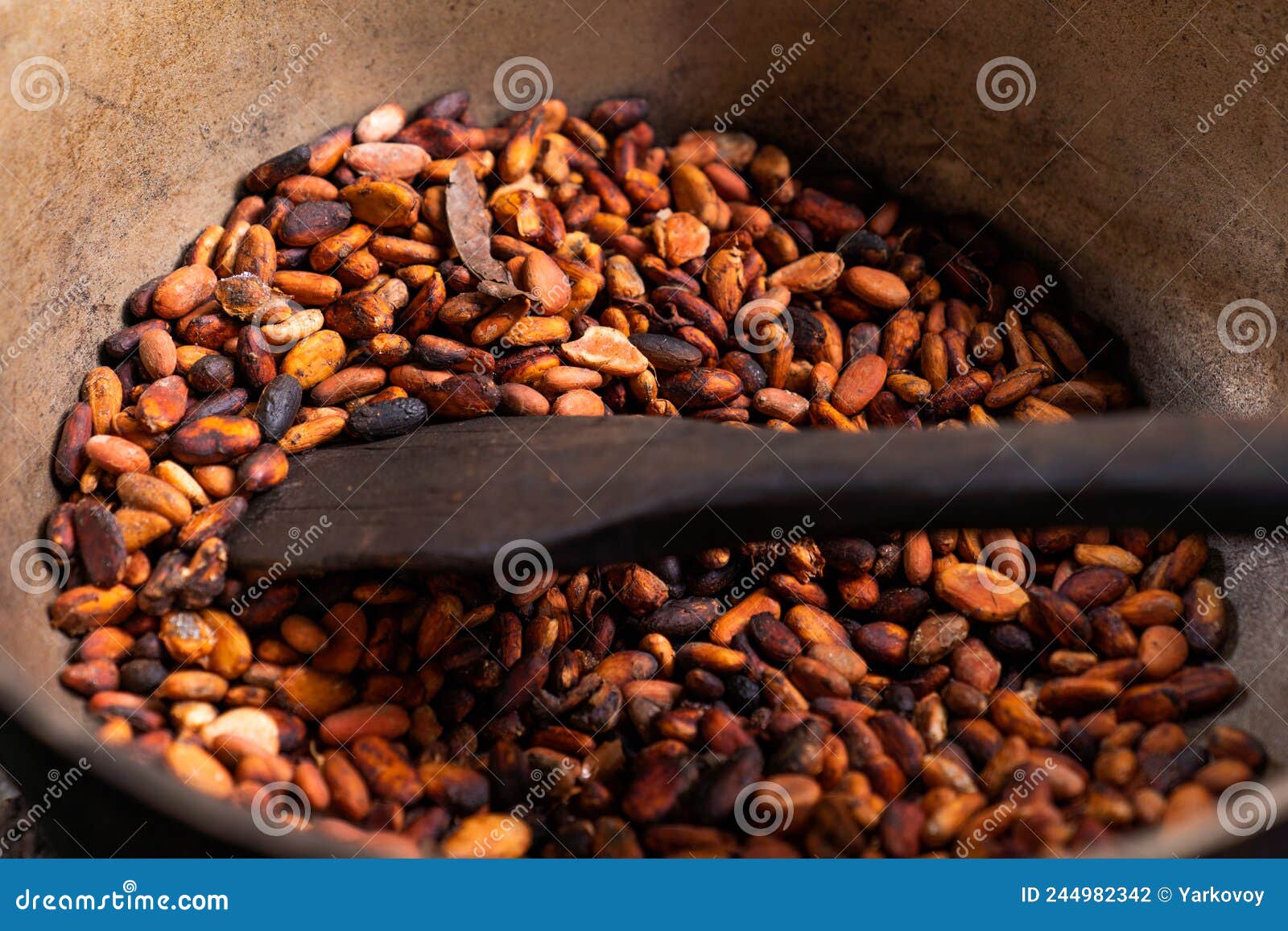 Brown Roasted Cocoa Beans. Background, the Process of Making Cocoa