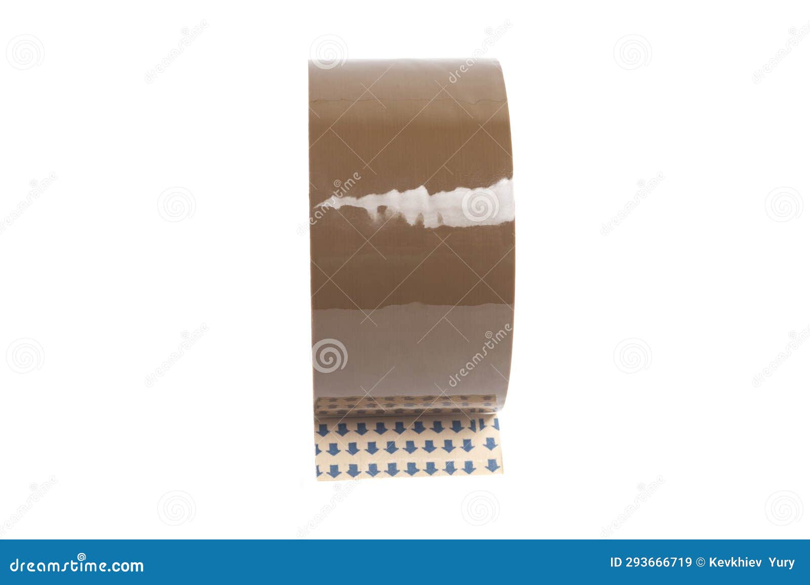 Brown Roll Rim, Poison Pax Or Common Roll Rim Paxillus Involutus