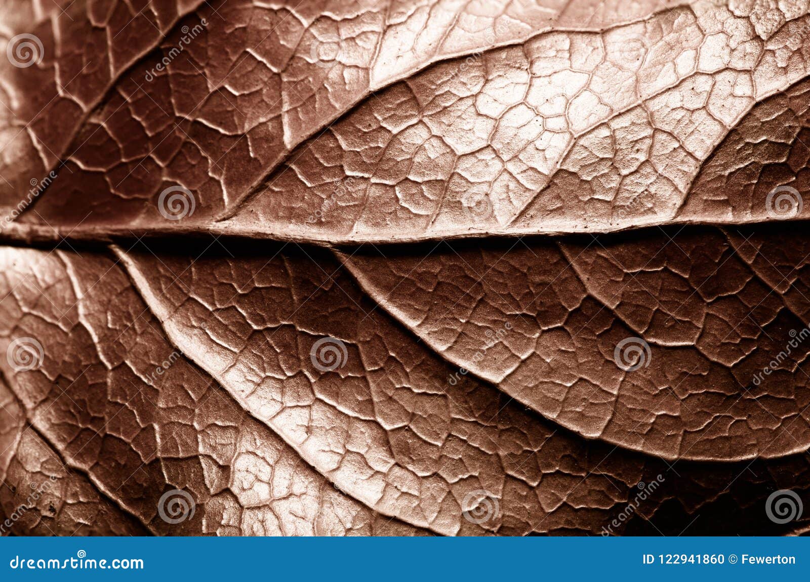 brown sepia toned dry leaf rugged surface structure extreme macro closeup photo with midrib parallel to the frame and visible leaf