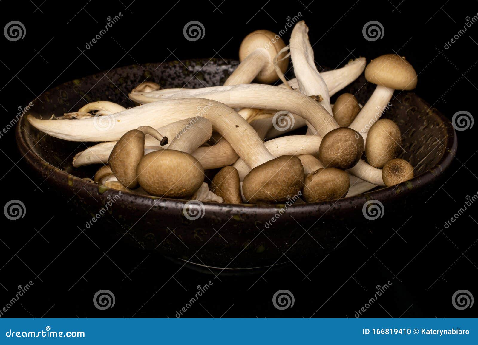 Chinese mushrooms, Enoki,Hon-shimeji and Shitake isolated on a