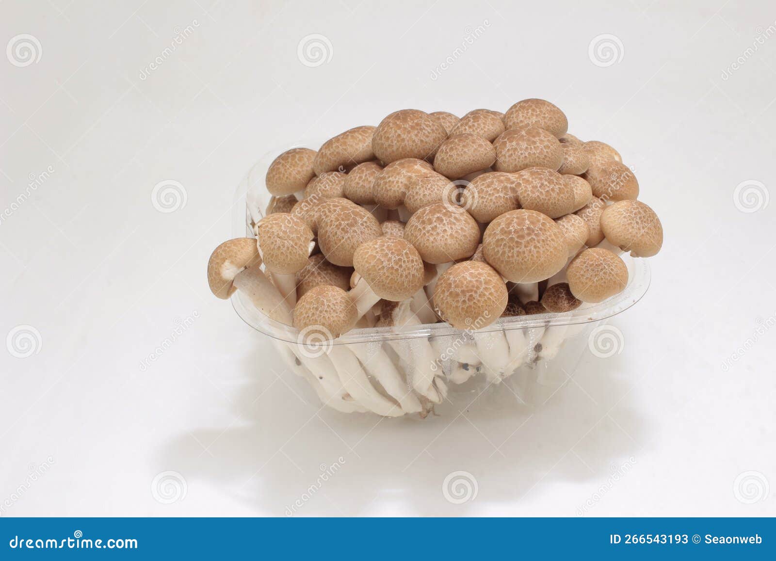 Brown Shimeji Mushroom with Plastic Package Stock Image Image of