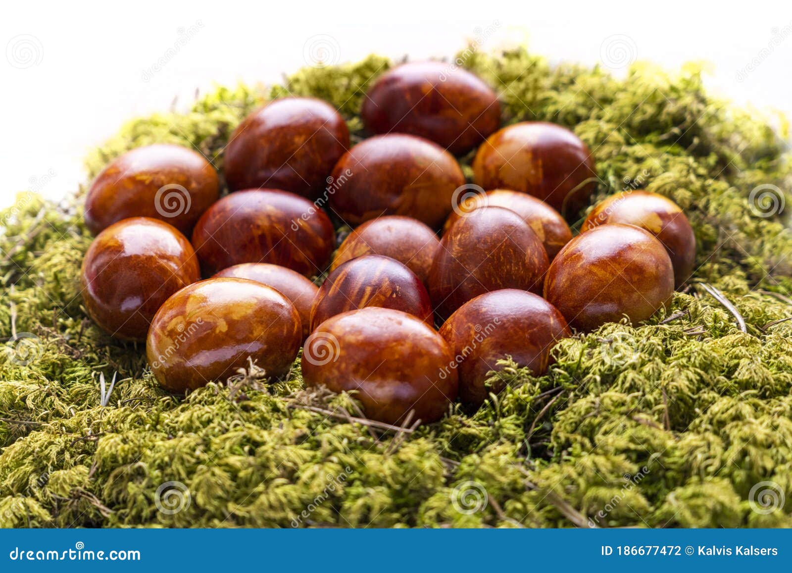 Easter Eggs in Moss on White Background Stock Photo - Image of moss