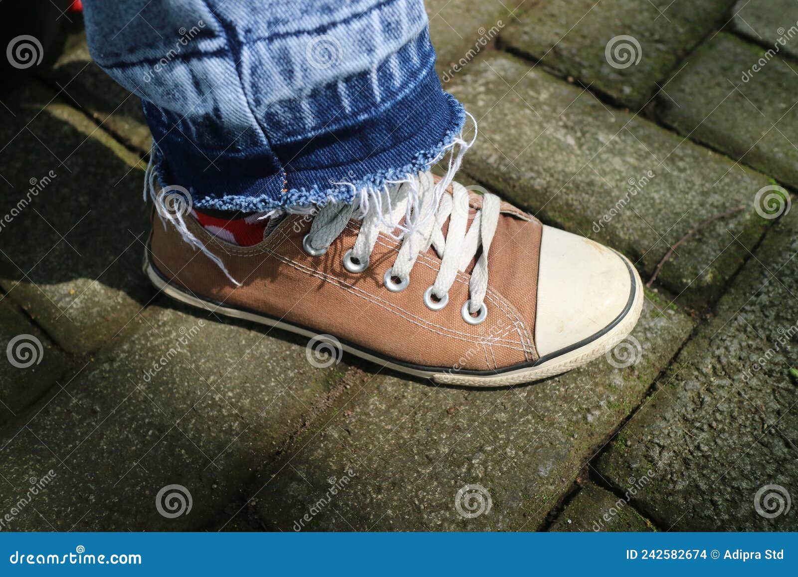 Brown Shoes with White Laces Stock Photo - Image of person, lace: 242582674