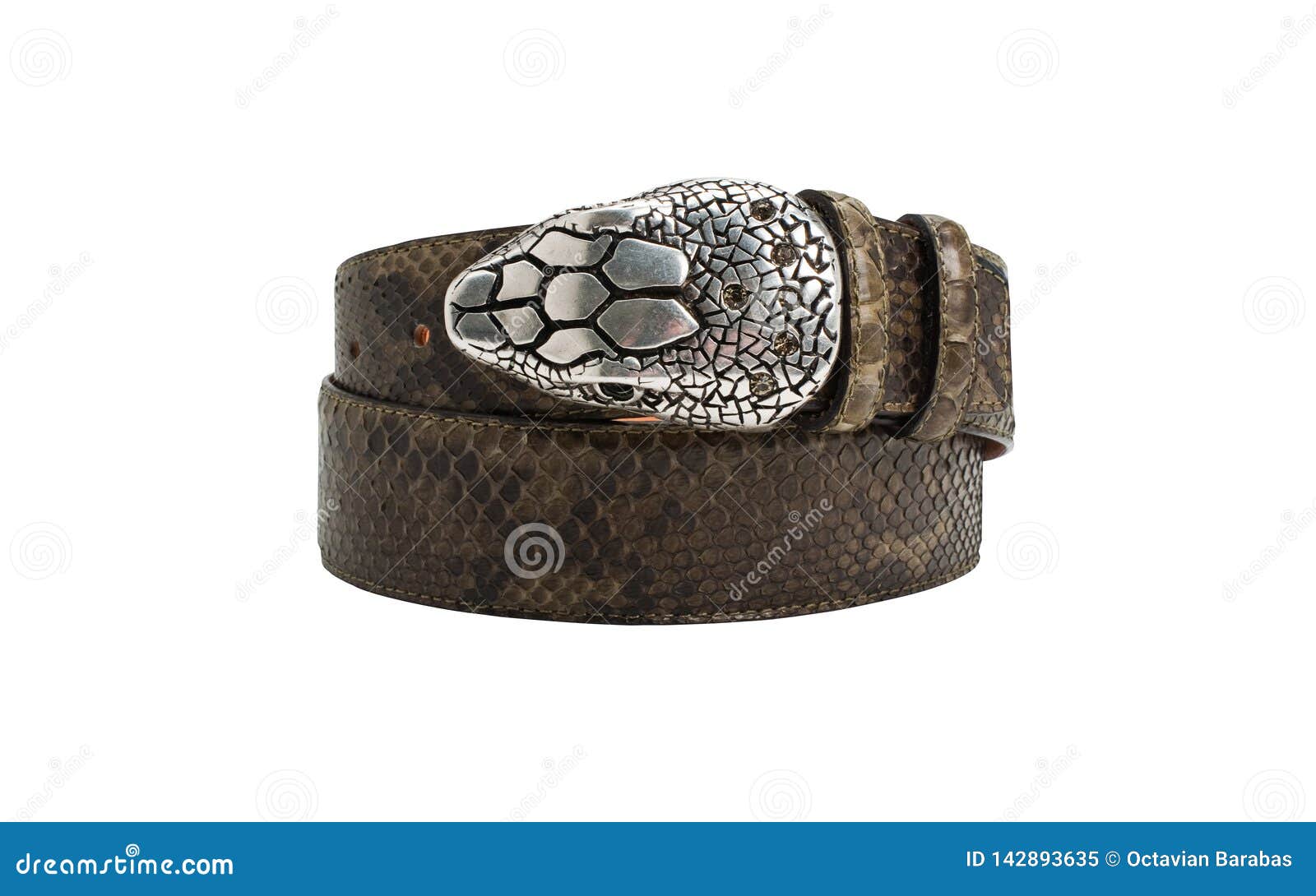 snake head belt buckle