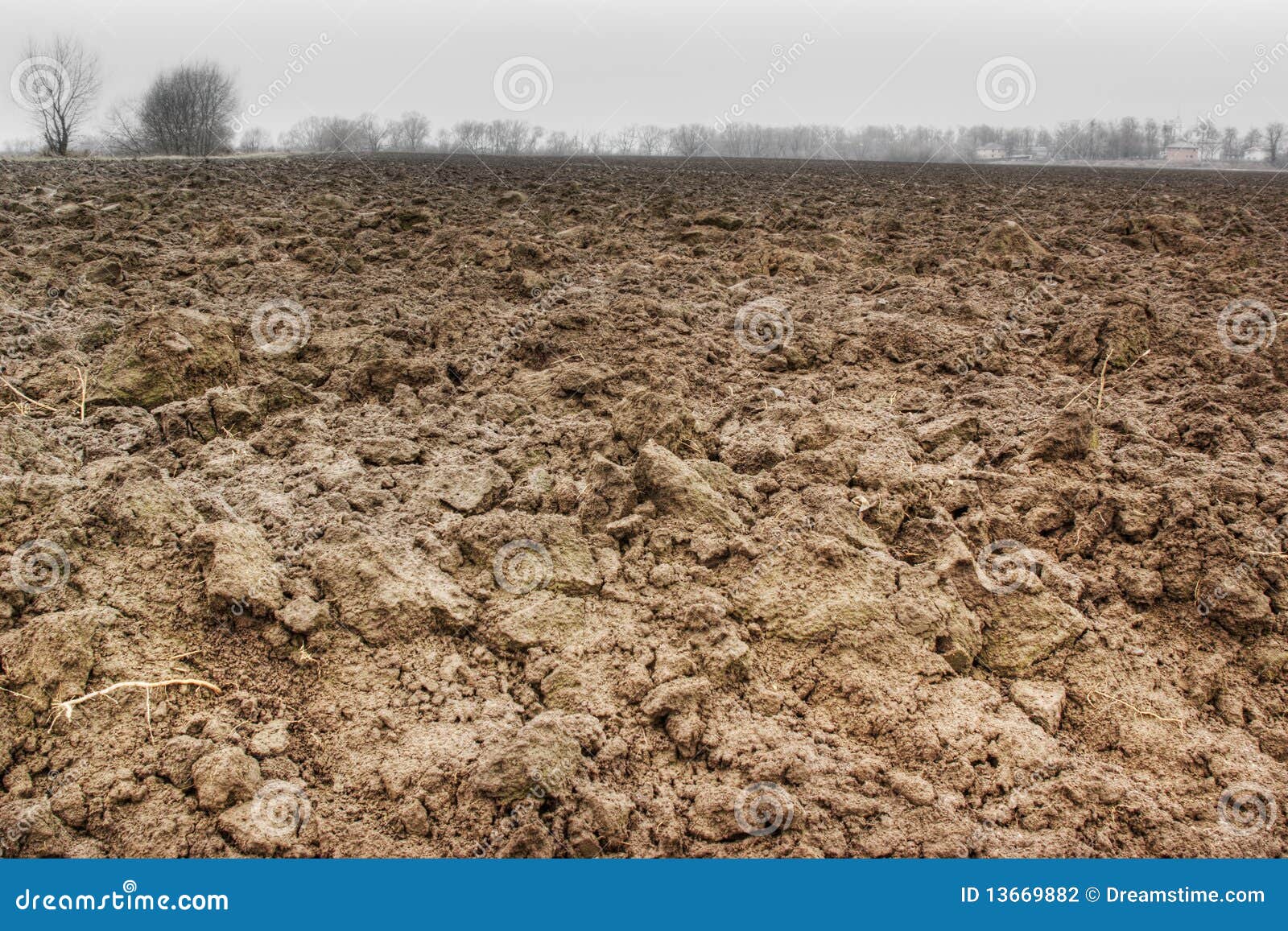 Brown soil stock photo. Image of plant, dirt, seasonal 13669882