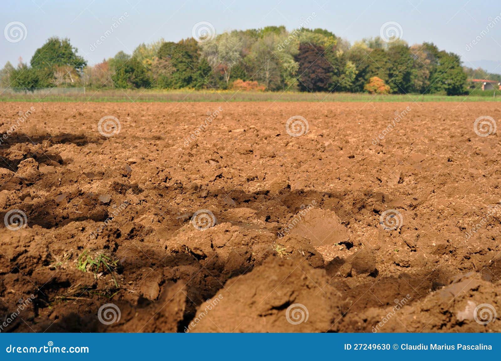 Brown Soil Stock Photo Image 27249630
