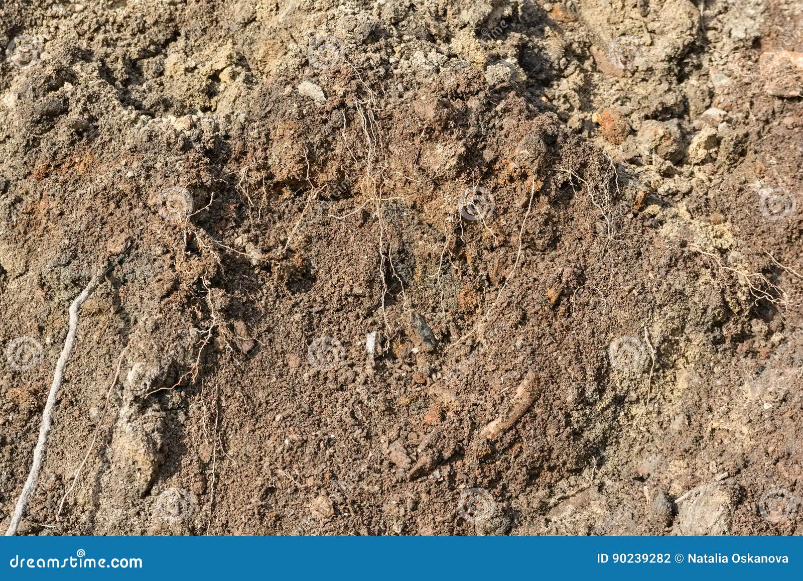 Brown soil texture stock photo. Image of cultivated, actions 90239282