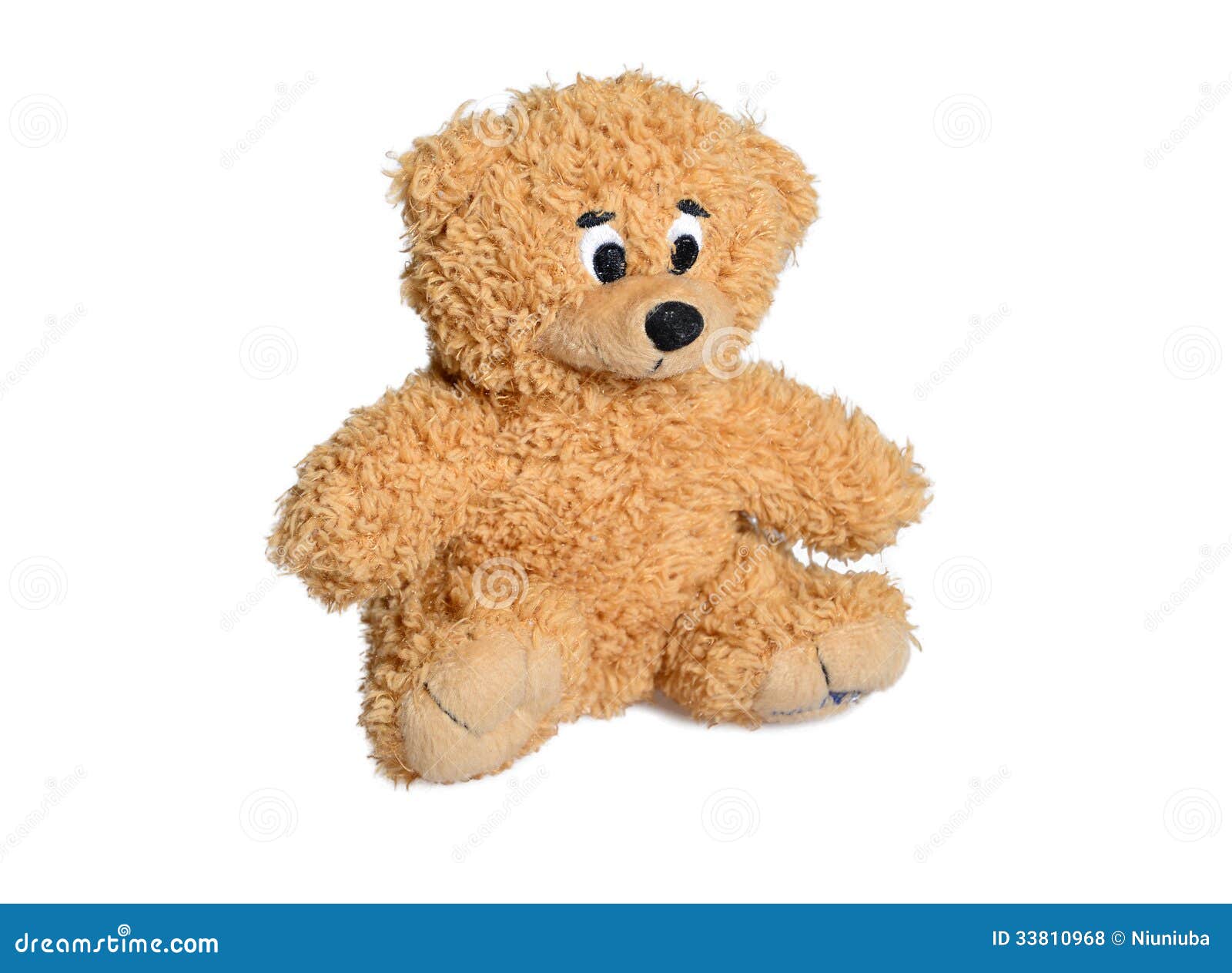 Brown Teddy Bear stock photo. Image of pouch, animal 33810968