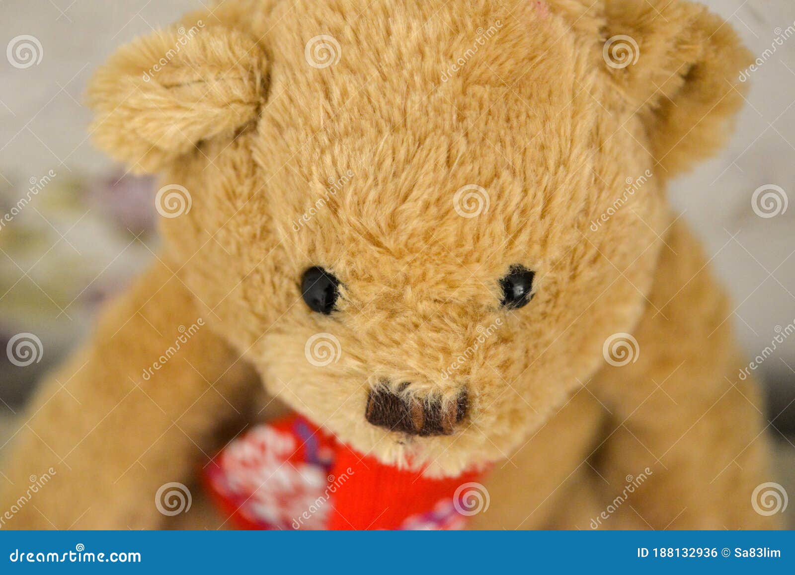 Brown Teddy Bear Face and Eyes Selective Focus Stock Photo Image of