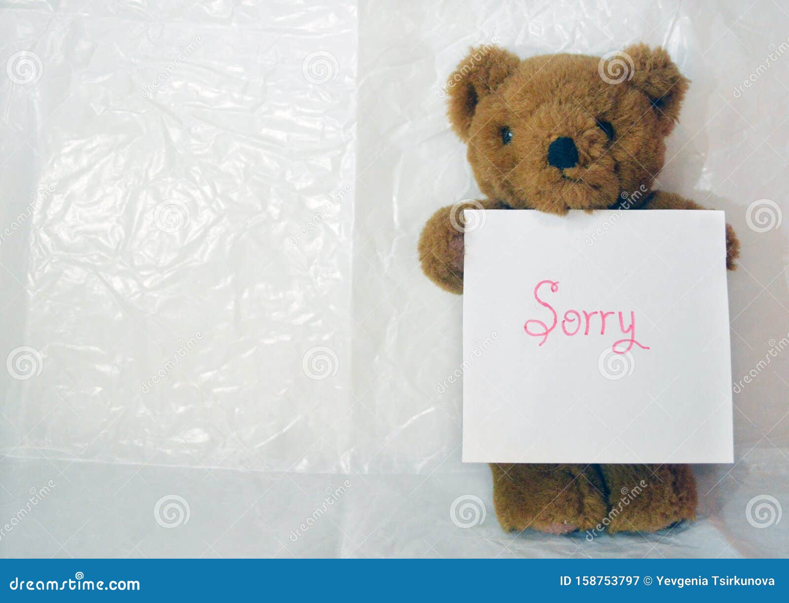 teddy bear saying sorry