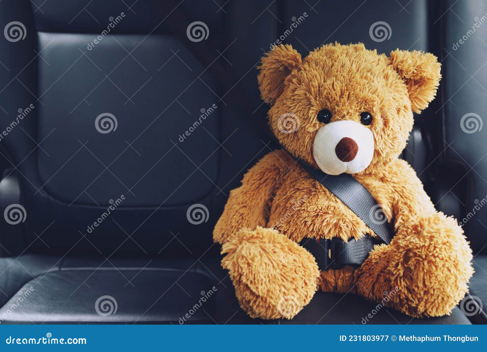 Brown Teddy Bear Wearing Car Seat Belt Stock Image Image of driving