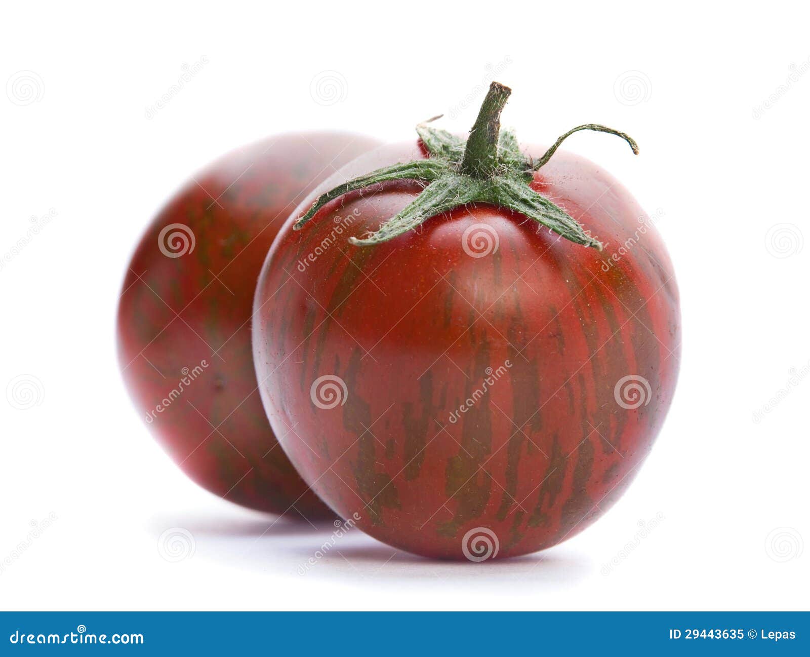 Brown tomato stock image. Image of shiny, shadow, horizontal 29443635