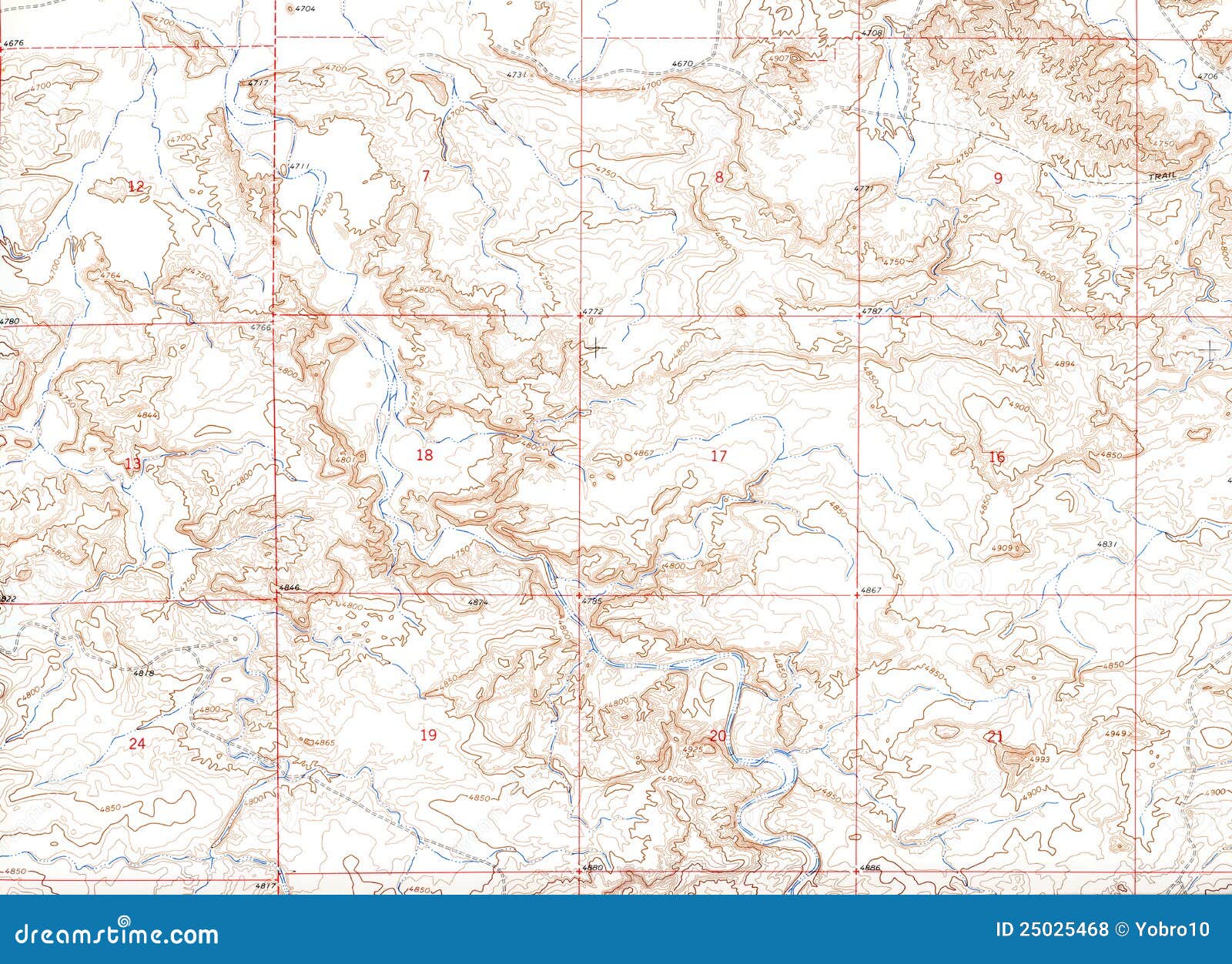 brown topographical map background