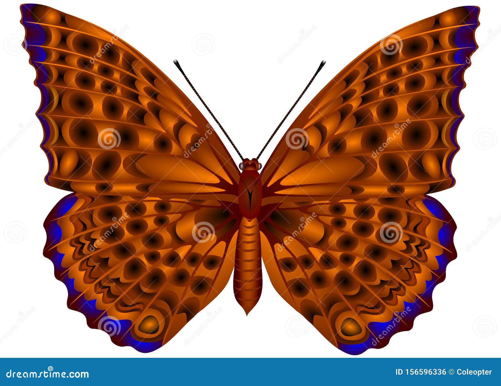 Brown Tropical Butterfly with Blue Spots Stock Illustration ...