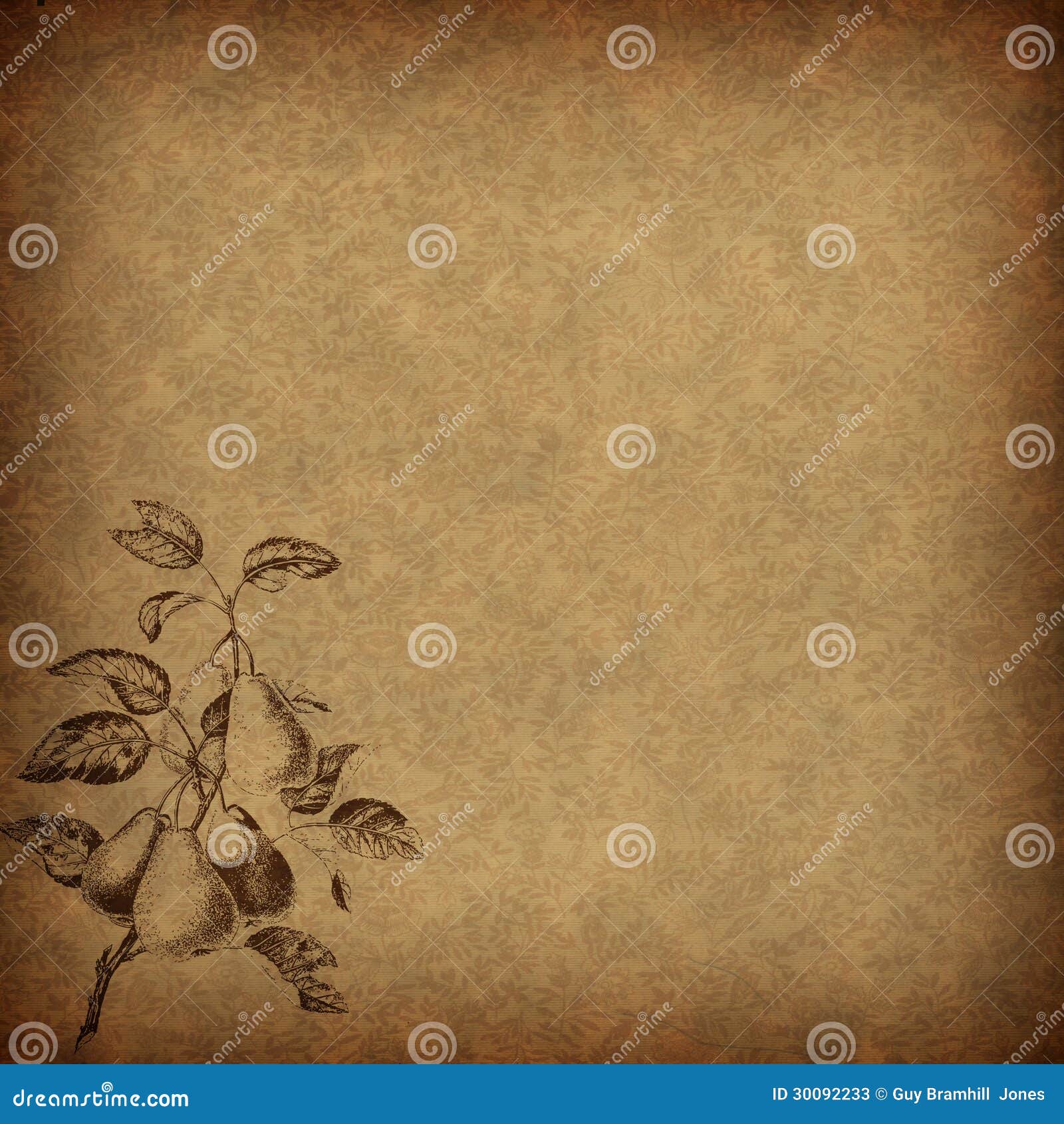 Brown Vintage Floral Paper with a Pear Motif Stock Illustration ...