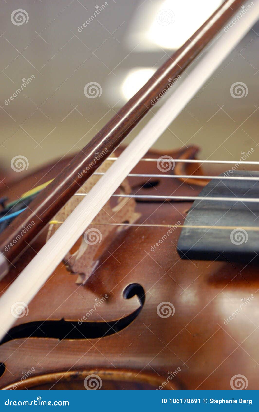 Brown Violin Closeup of Bow Stock Image Image of violin, noise