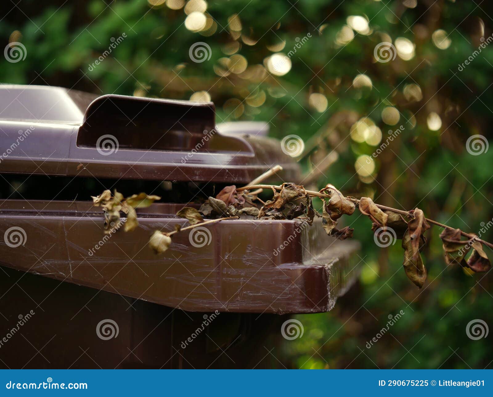 Brown Wheelie Bin for Garden Waste Medium Shot Stock Image Image of