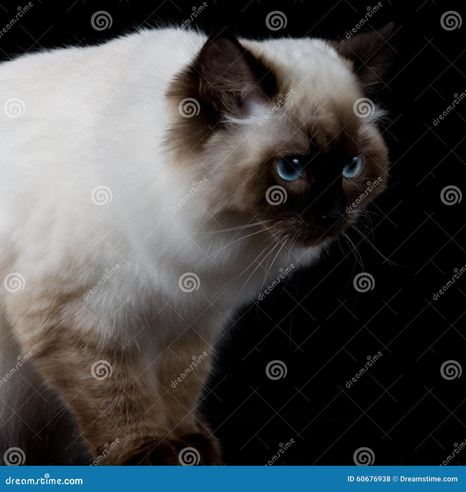 My Image 3