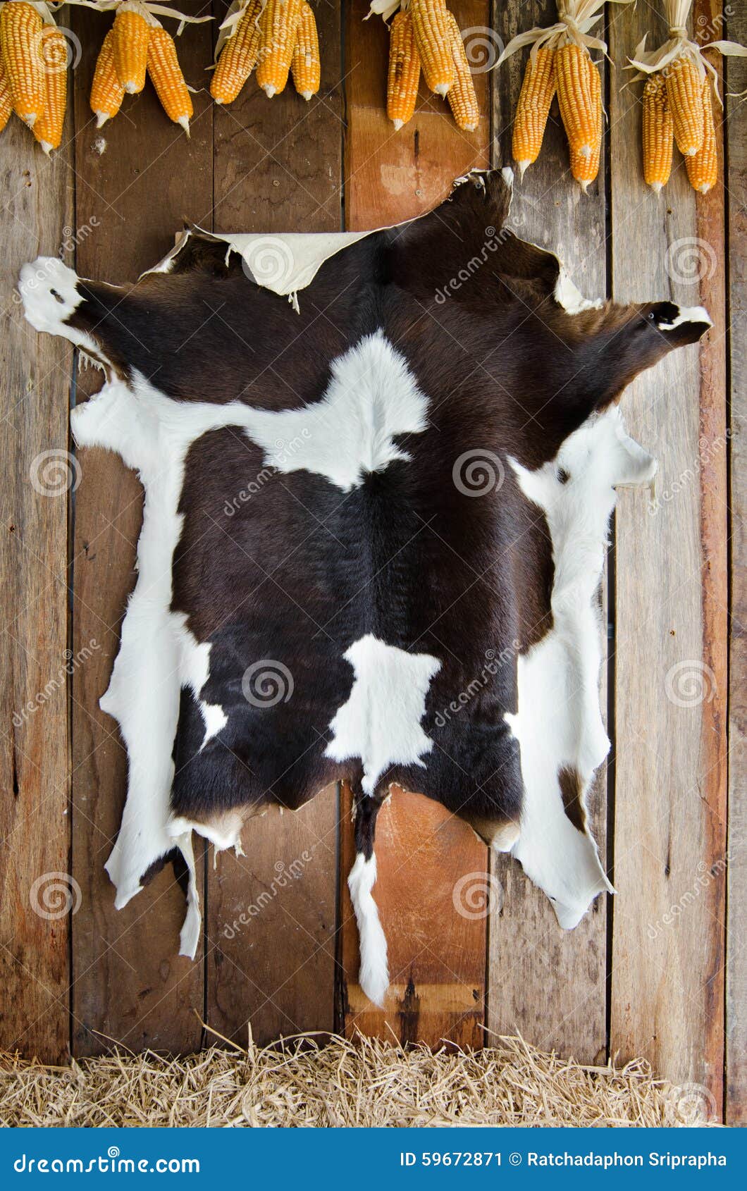 how to hang a cowhide on a wall
