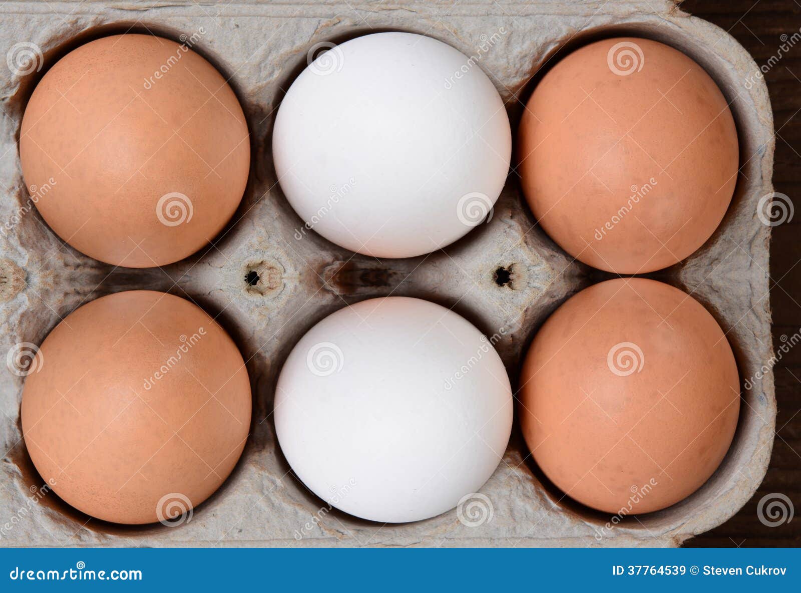protein 1 white egg Brown Image Carton Stock Image Pack  In And  6 White Eggs