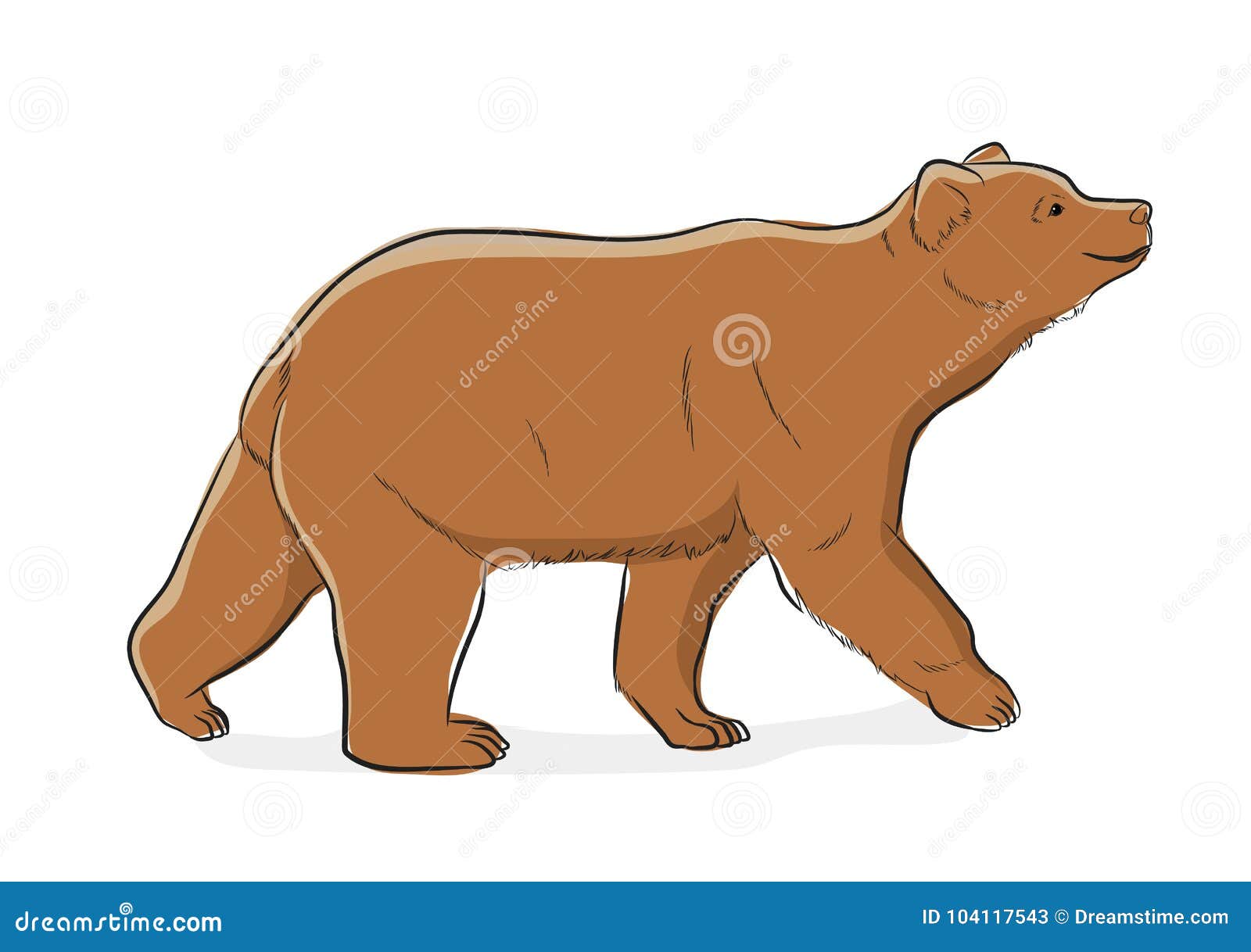 Brown Wild Bear Vector Illustration Stock Illustration - Illustration of  cartoon, safari: 104117543