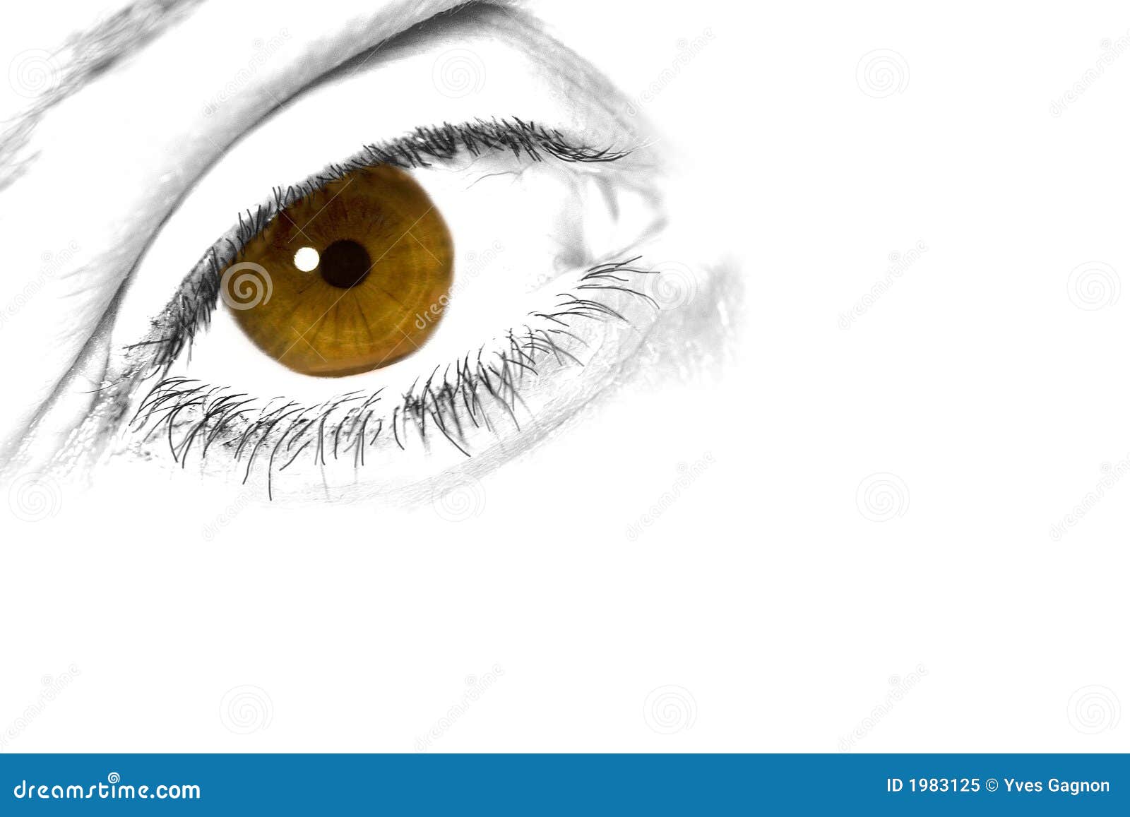 Brown and yellow eye stock image. Image of look, feeling 1983125