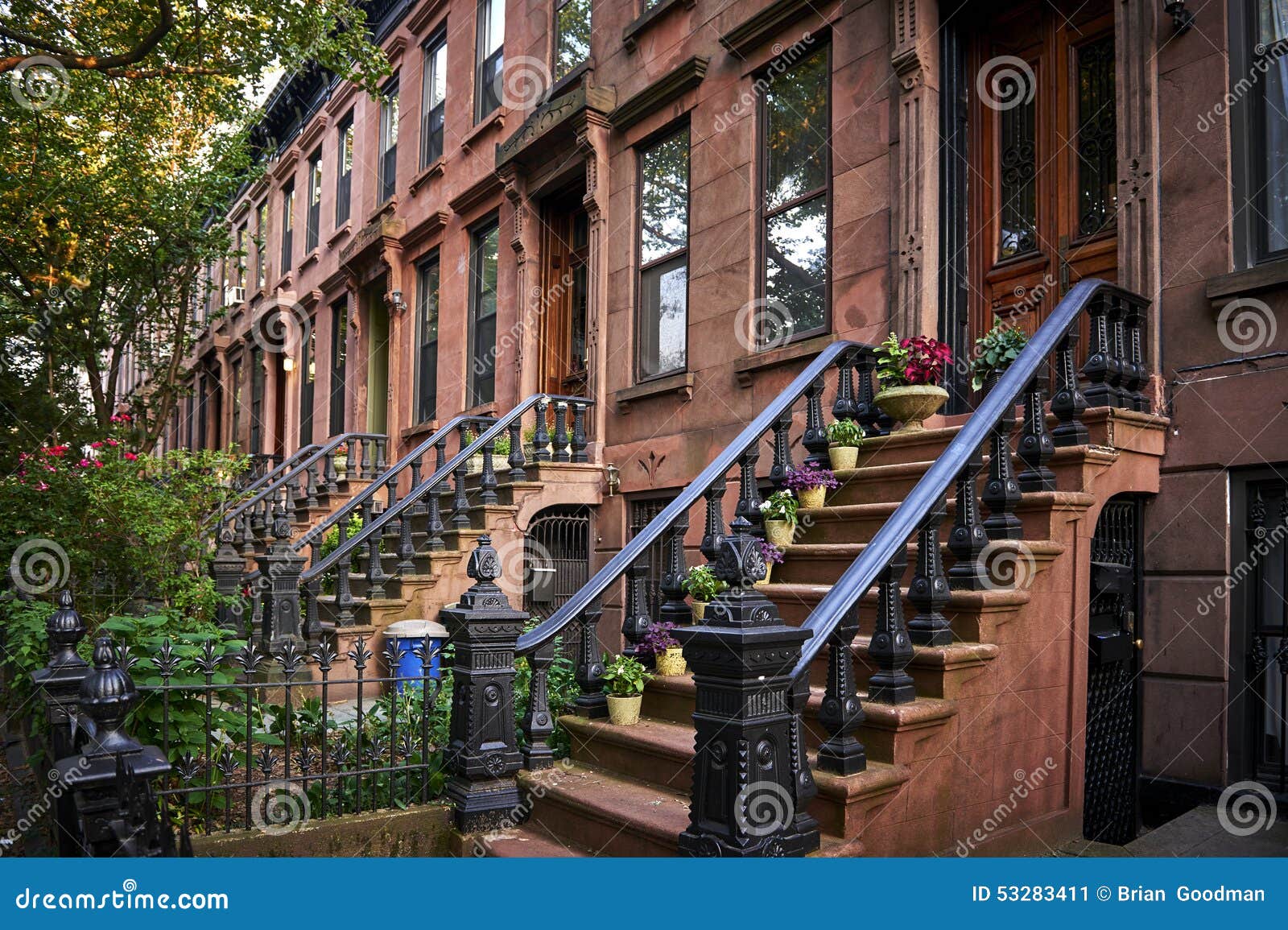 Brownstones stock image. Image of plants, flowers, architecture 53283411