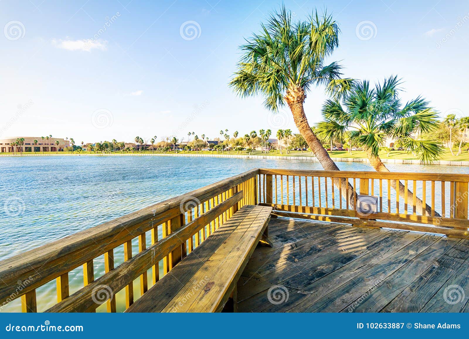 Brownsville Texas fotografering för bildbyråer. Bild av bana 102633887