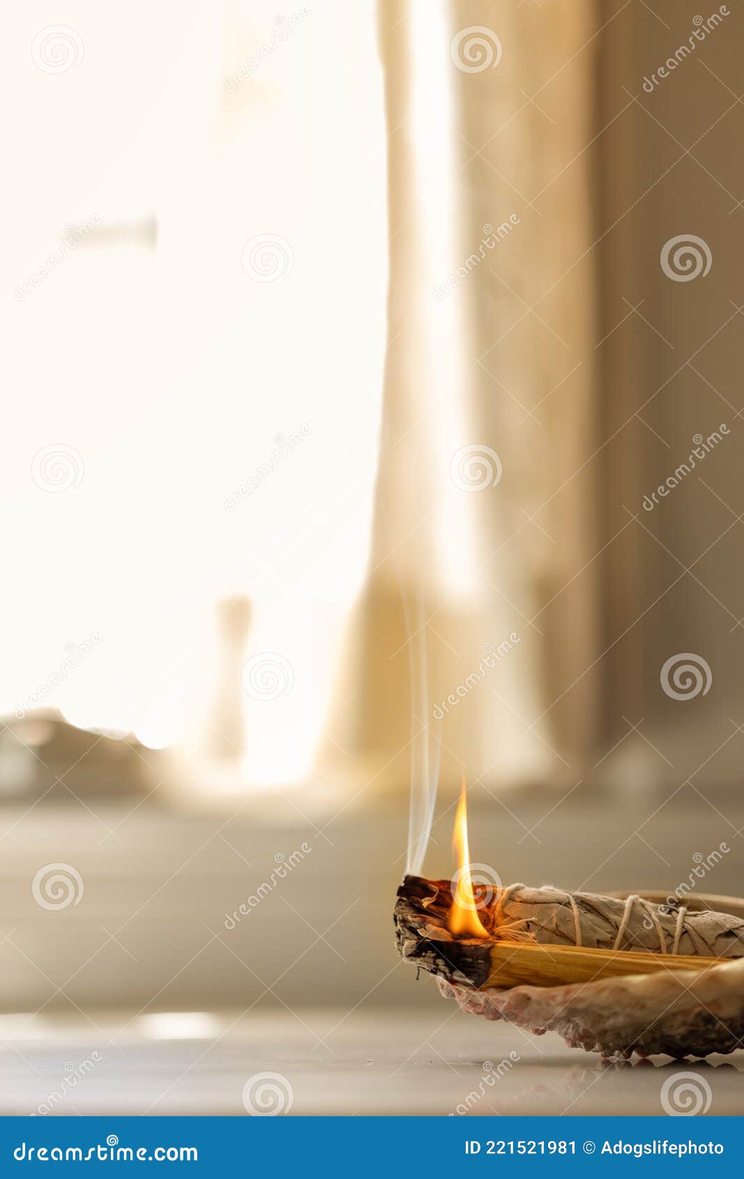 Bruciare Salvia Per Pulire Una Casa Dall'energia Negativa Immagine Stock -  Immagine di bruciarsi, macchiarsi: 221521981