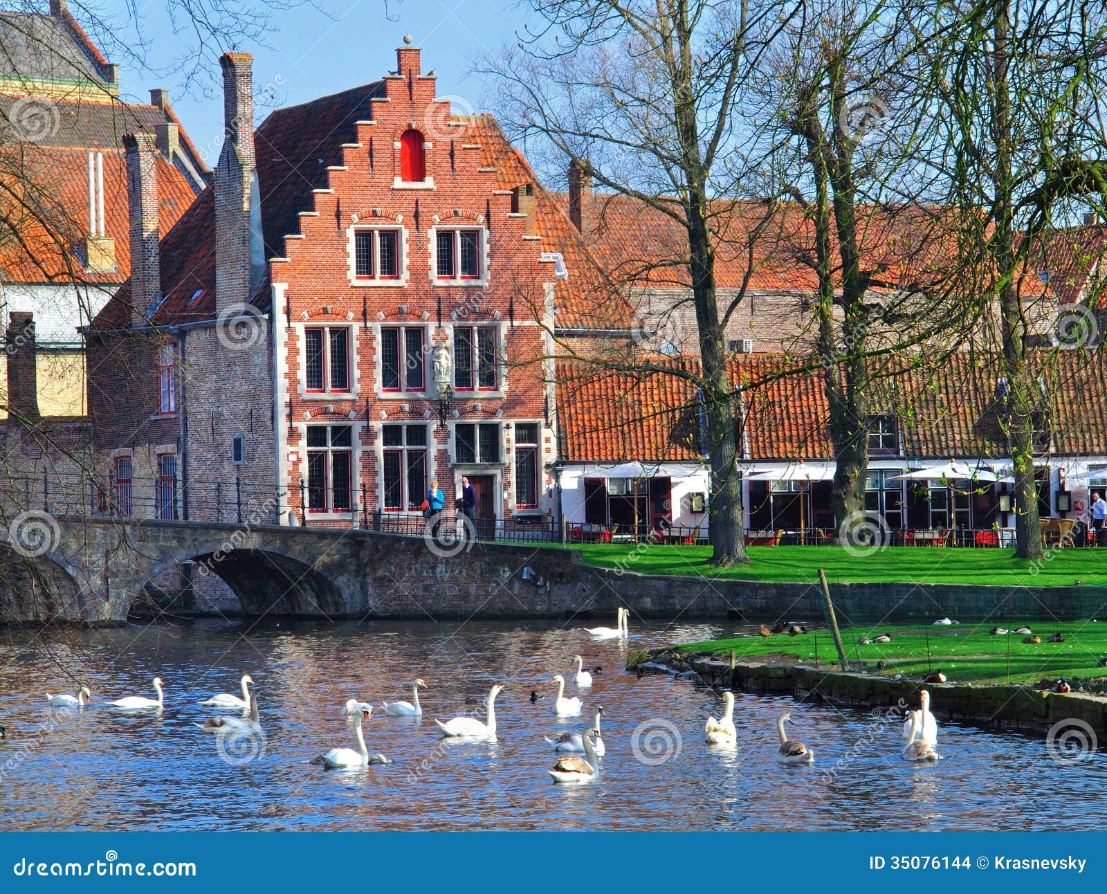 Swansey nella città di Bruges, Belgio