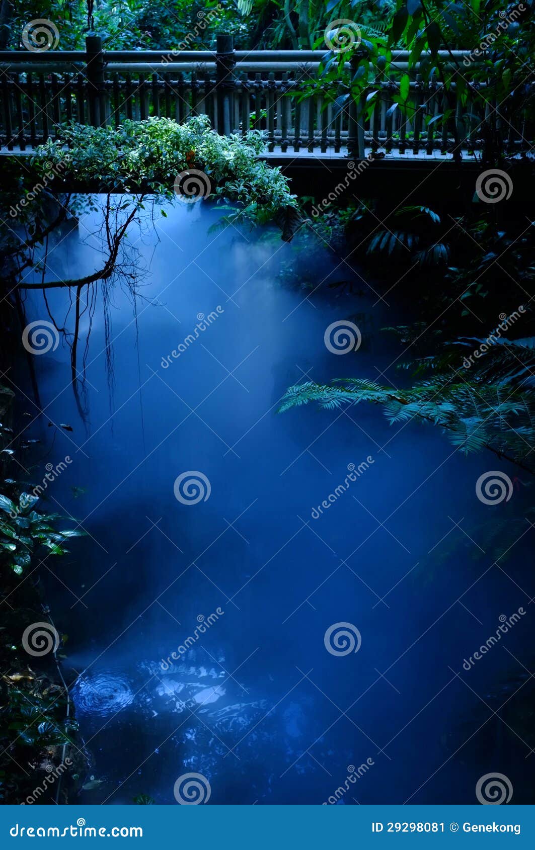 Brume bleue dans la jungle